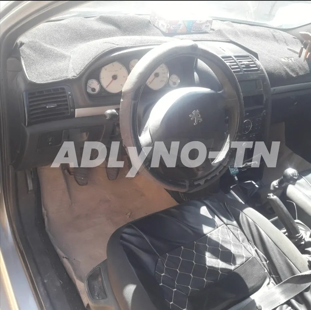 407 à Mahdia - Photo 1