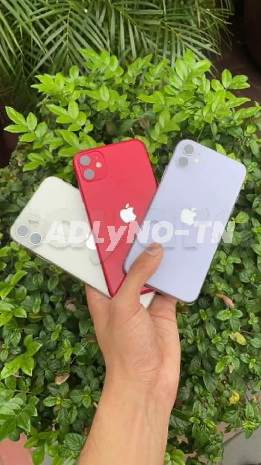 iPhone 16 pro