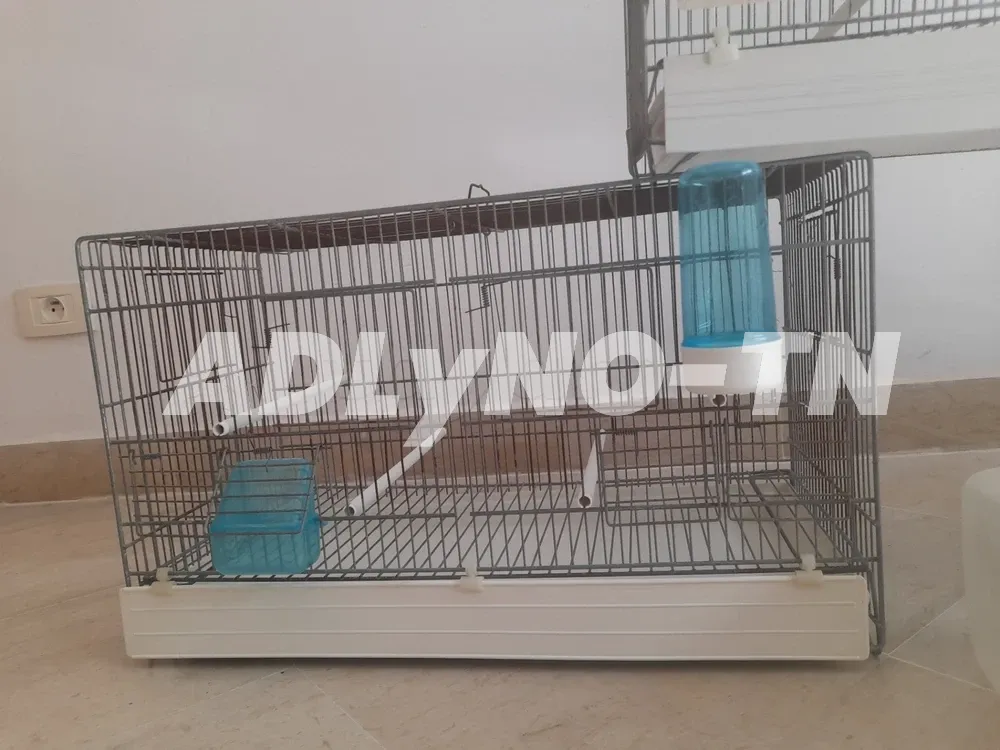 3 Cages oiseaux à vendre à Tunis - Photo 3
