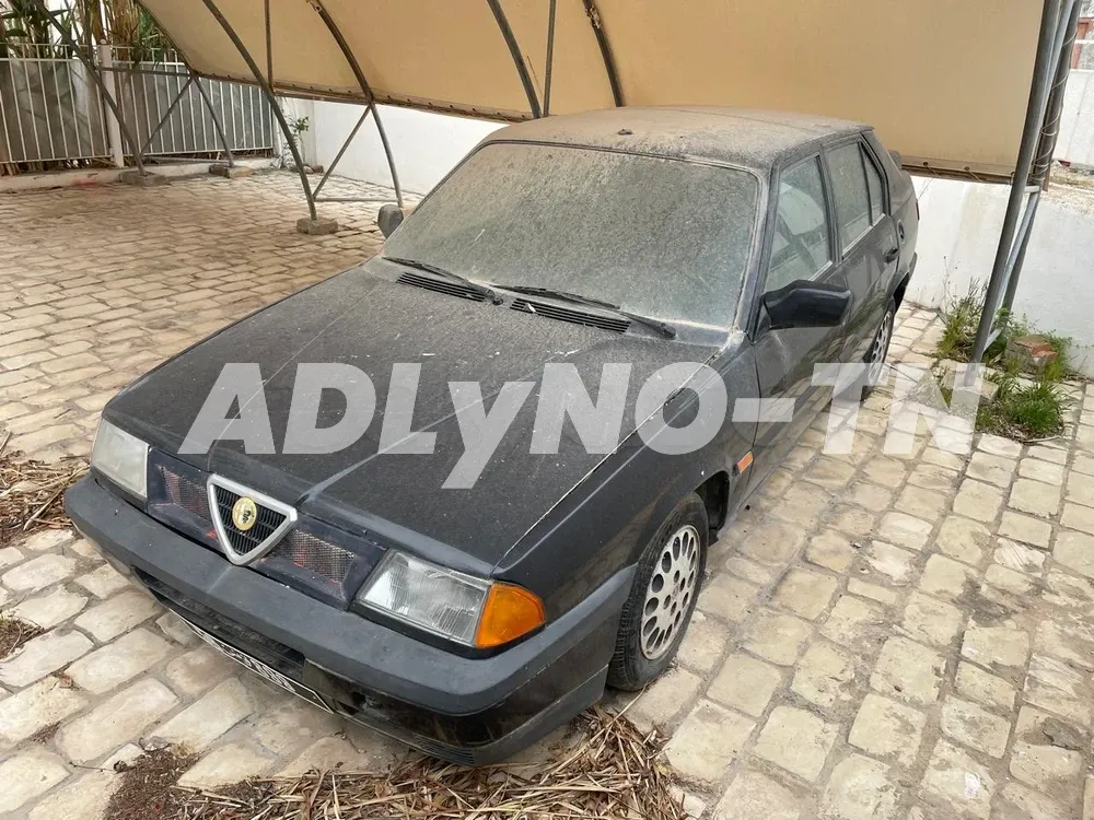 alfa 33 sans carte grise à Tunis - Photo 1
