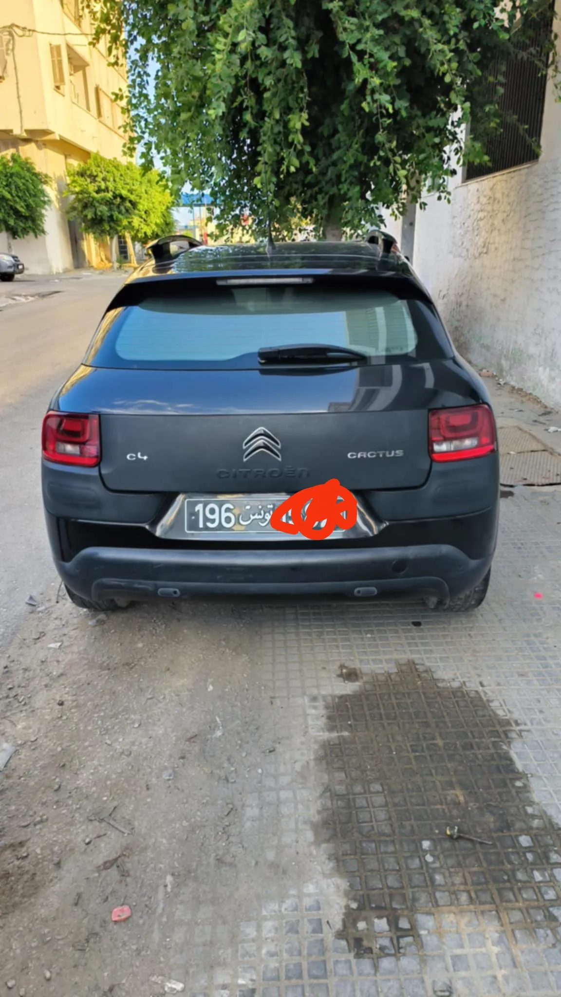 C4 Cactus à vendre à Sfax - Photo 1