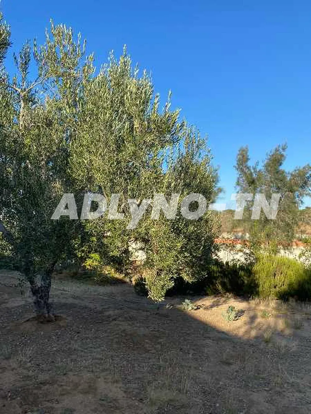 Terrain pour villa dans résidence zone agricole calme à sousse - Photo 1