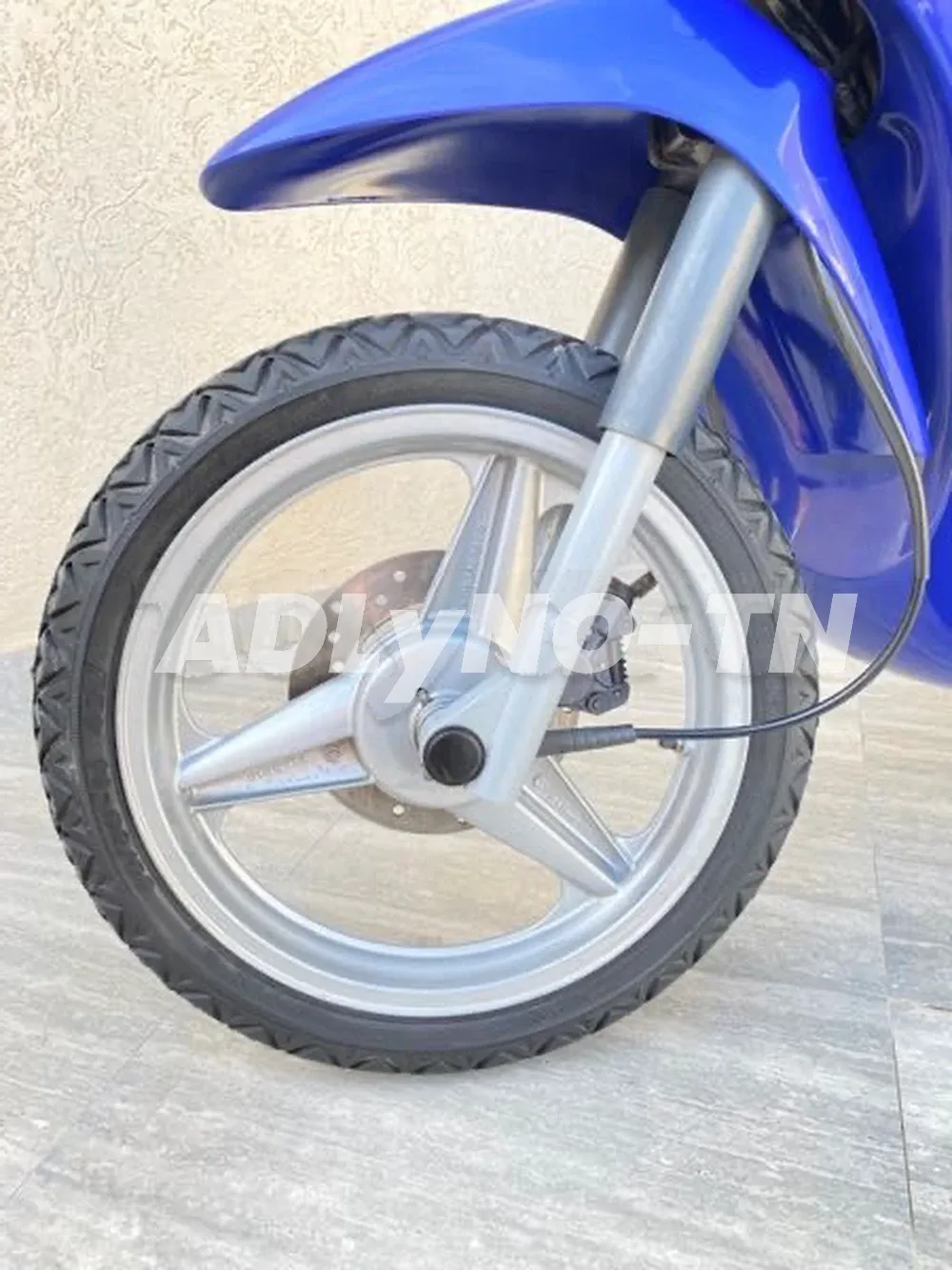 ?PiaGGio Free???? à Monastir - Photo 3