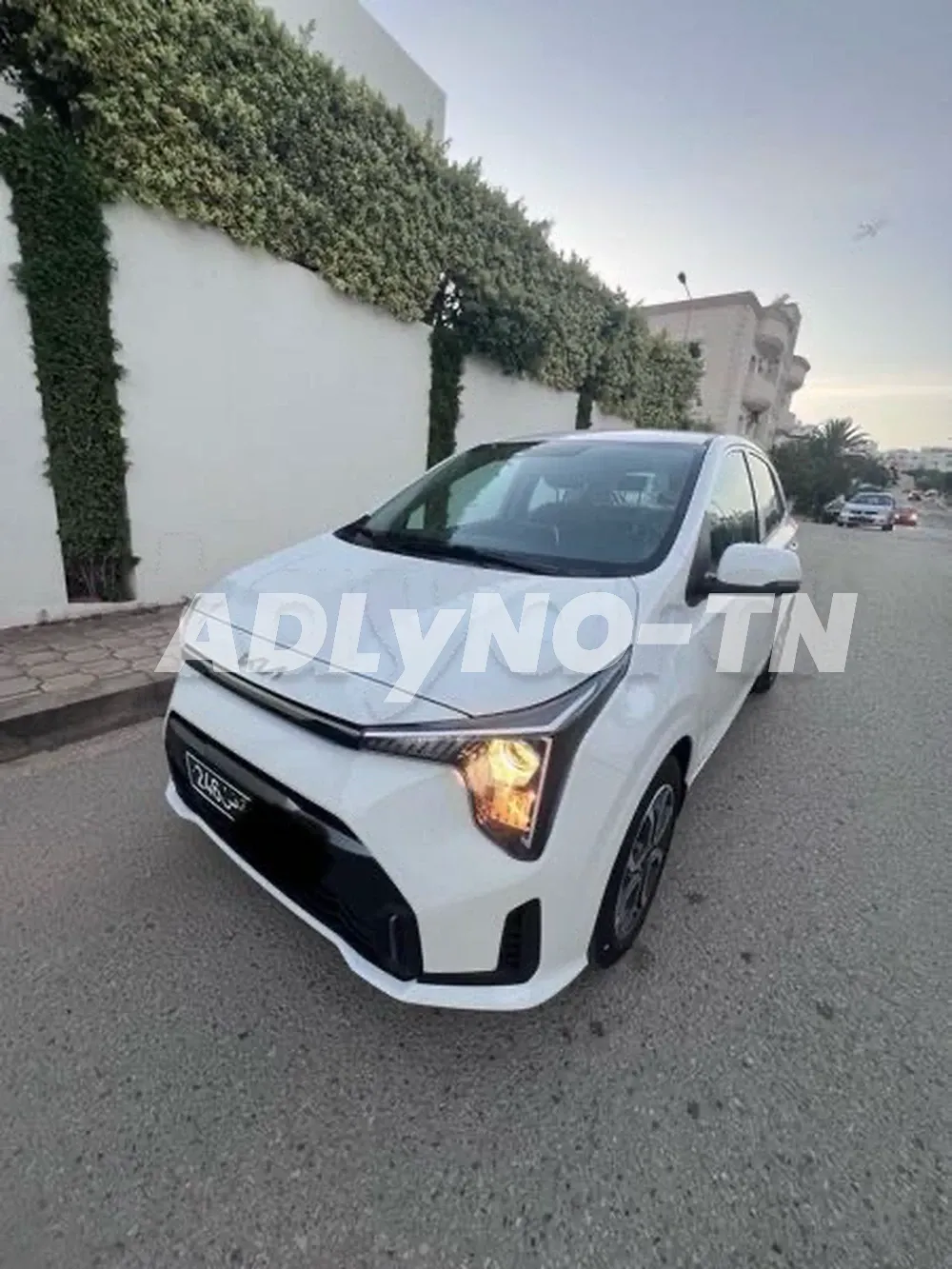 kia picanto dans l’emballage à Tunis - Photo 2