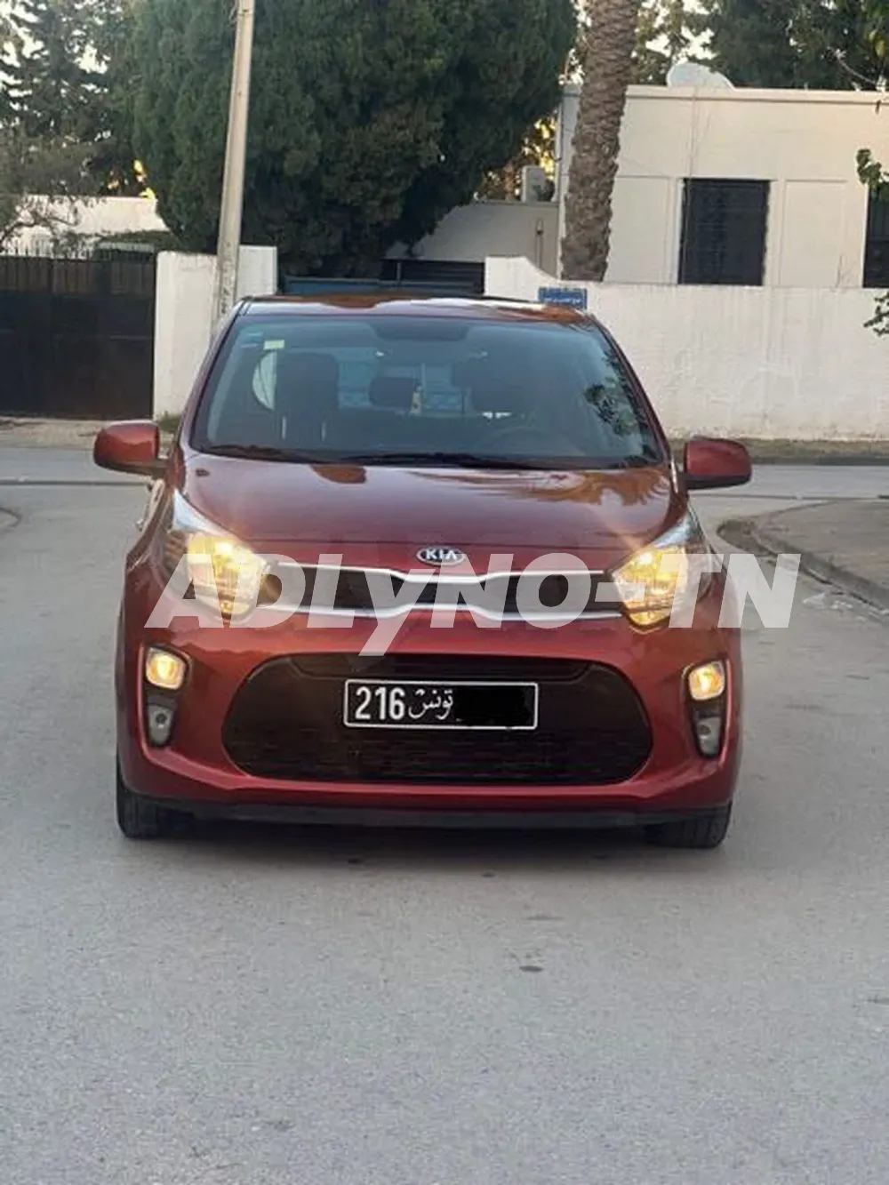 À vendre Magnifique, kia Picanto première main 21.736.042 à Tunis - Photo 2