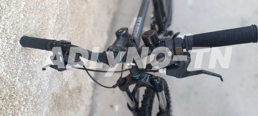 betwin 500 à Tunis - Photo 1