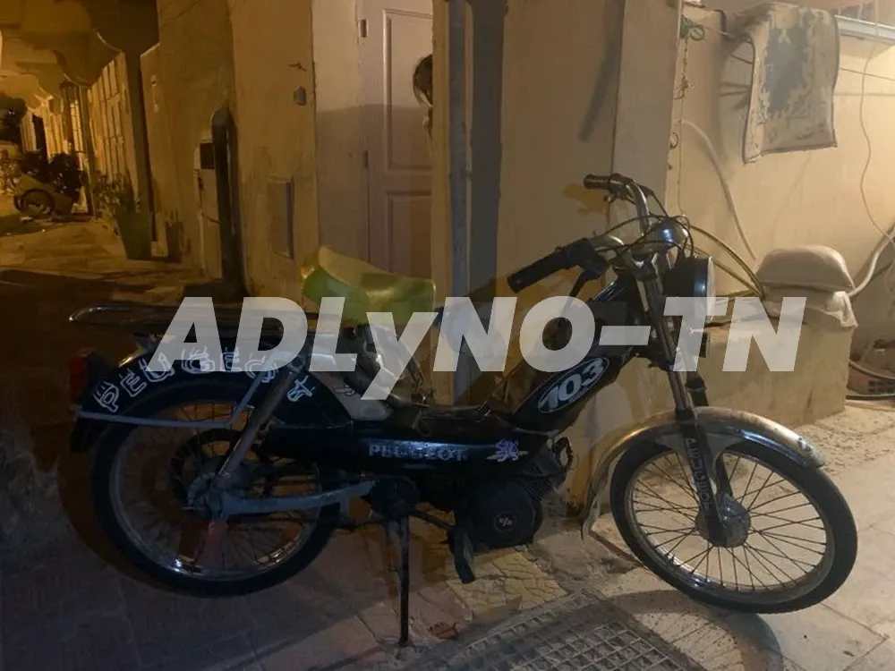 103 à Monastir - Photo 2