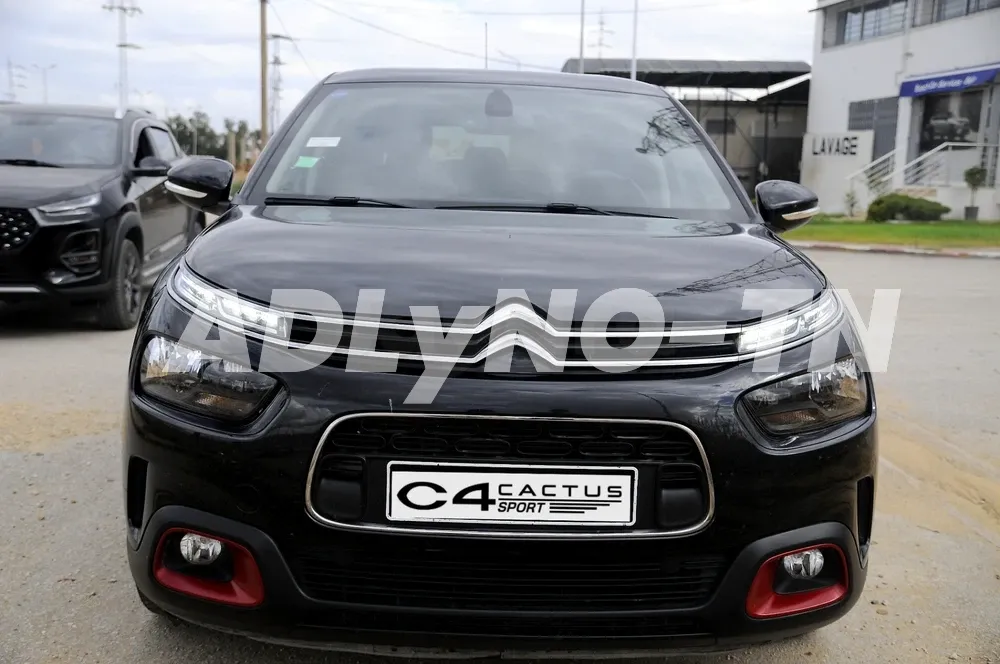 c4 cactus à Tunis - Photo 8