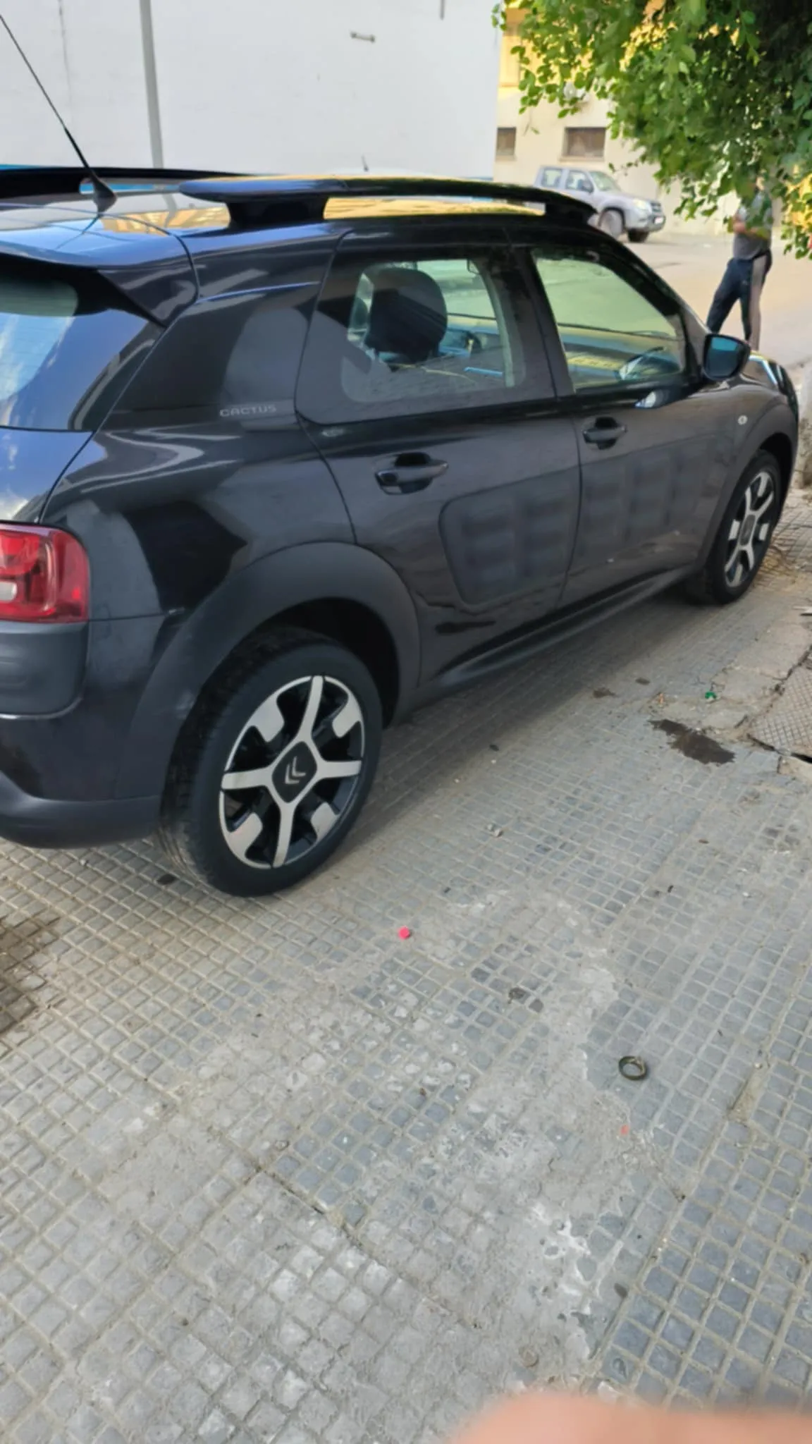 C4 Cactus à vendre à Sfax - Photo 3