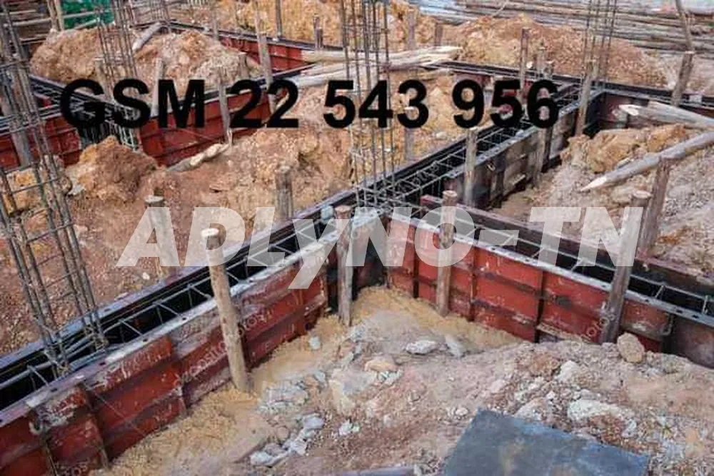 بناء من الارضية الي تسليم المفتاح 22543956 à Tunis - Photo 9
