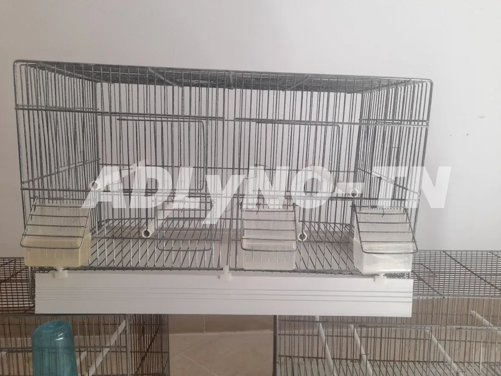 3 Cages oiseaux à vendre à Tunis - Photo 1