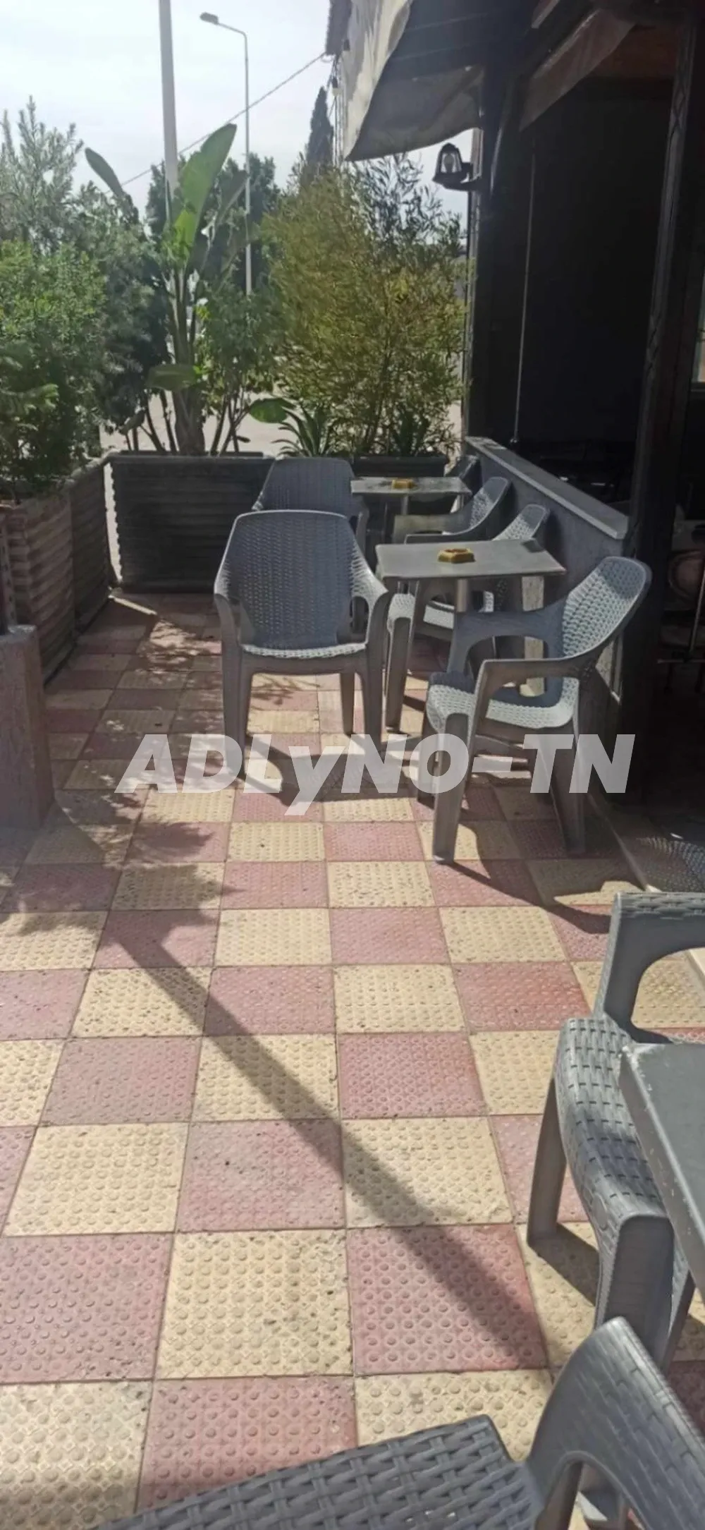 fond de commerce CAFE EL BASATIN a ne pas rater l occasion à Nabeul - Photo 9