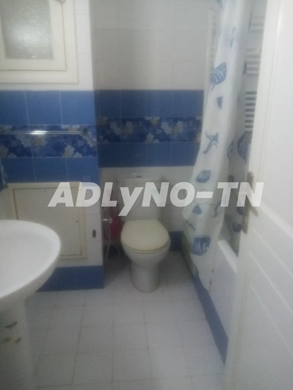 appartement s2 luxe meuble a jardin laouina à Tunis - Photo 9