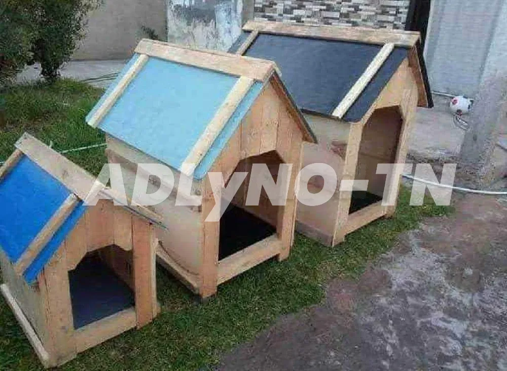 Niche pour chien livraison gratuite à Ben Arous - Photo 1