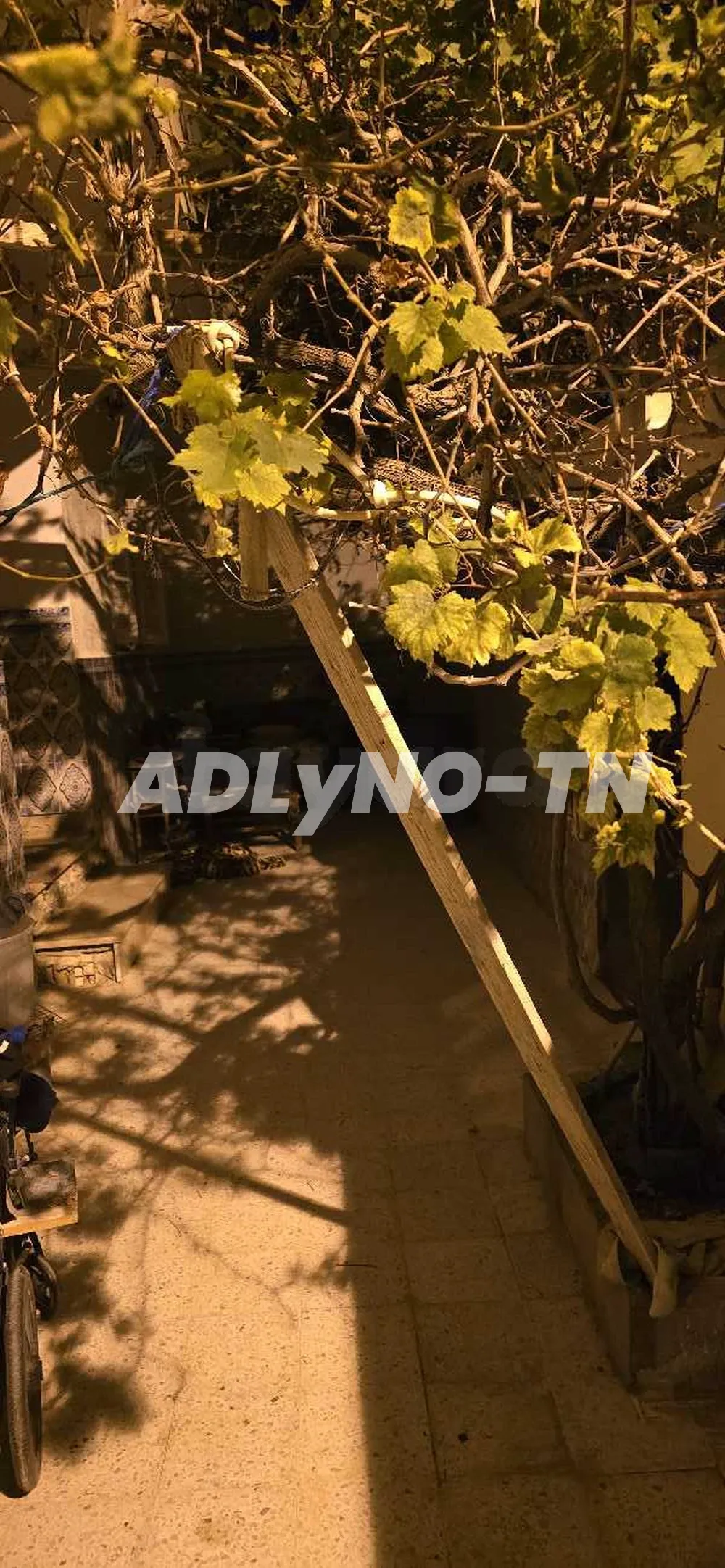 maison à louer à Ariana - Photo 4