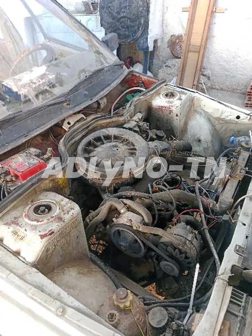 R11 à Tunis - Photo 6