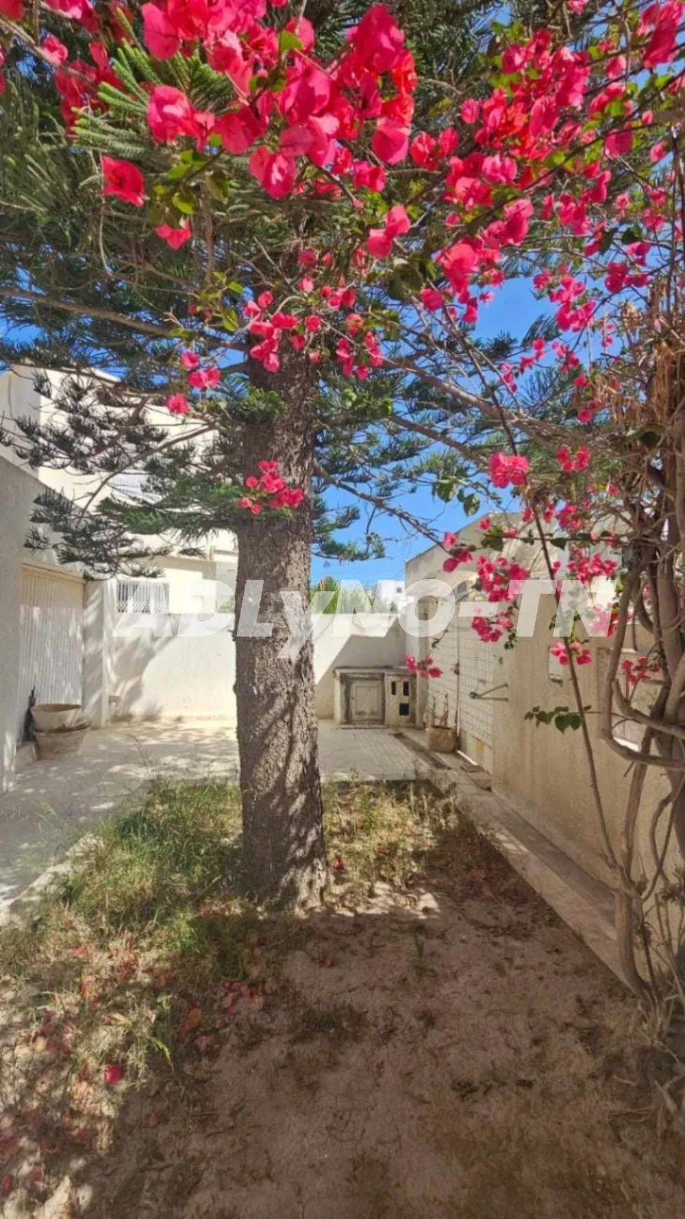  un bel appartement haut standing avec une vue sur mer à Bizerte. 
