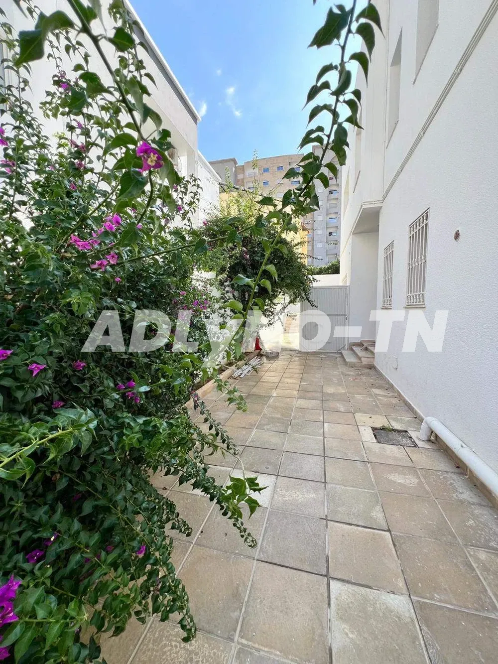 A Louer étage de villa avec piscine aux jardins de Carthage à Tunis - Photo 5