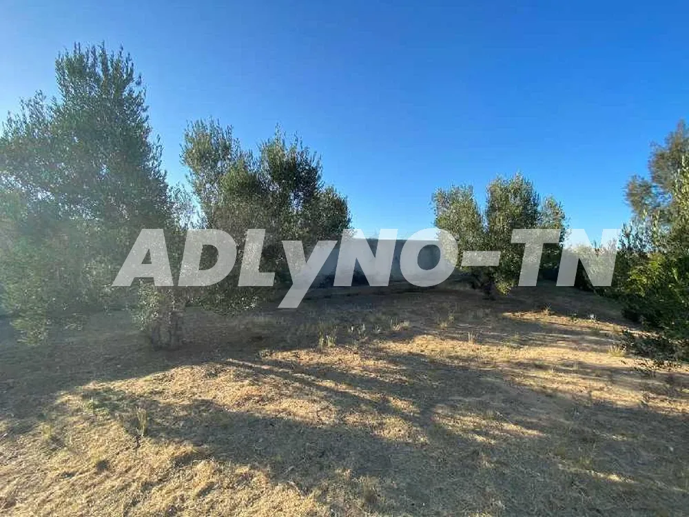 Terrain pour villa dans résidence zone agricole calme à sousse - Photo 4