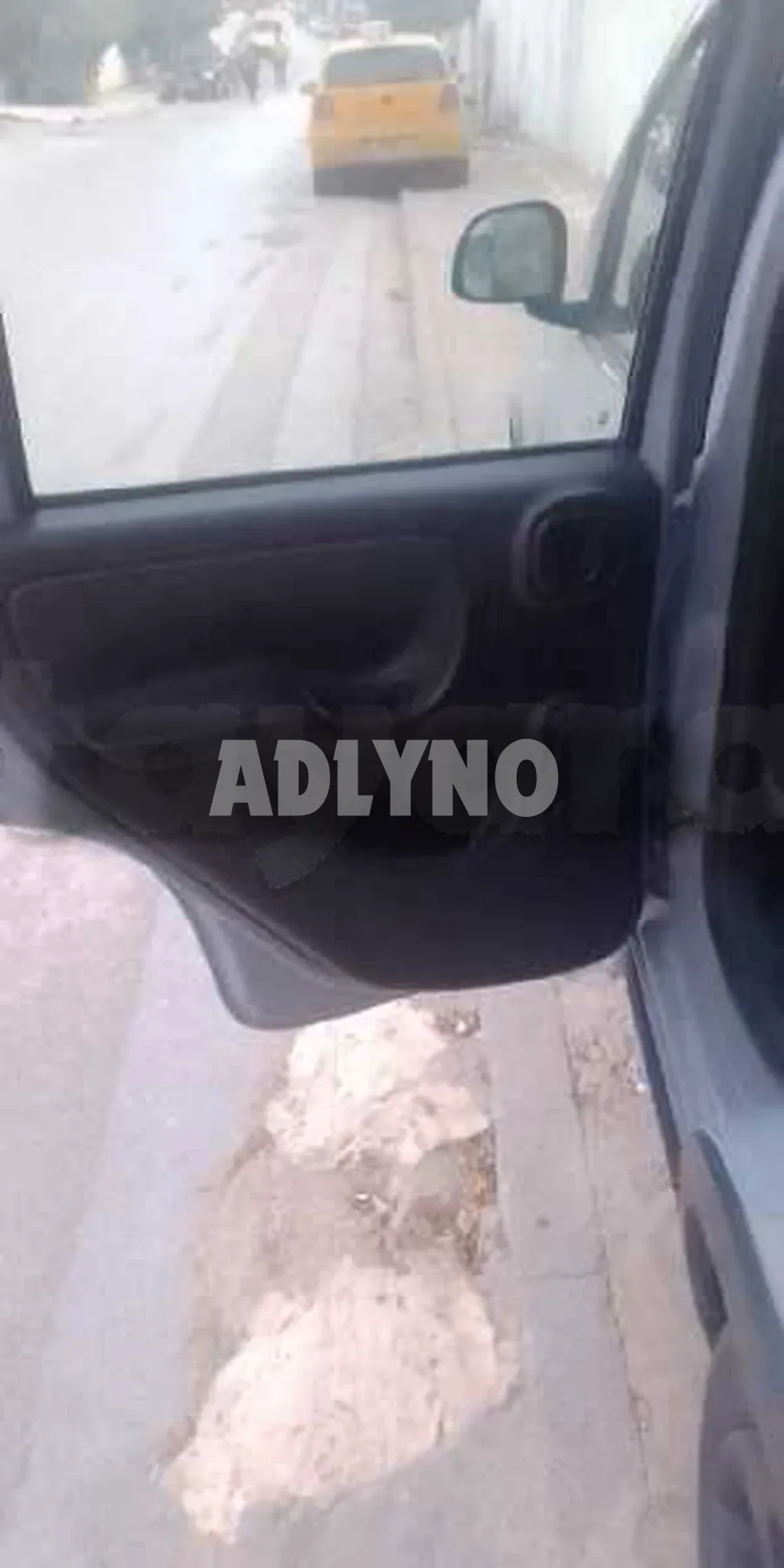 Fiat panda cross à Tunis - Photo 3