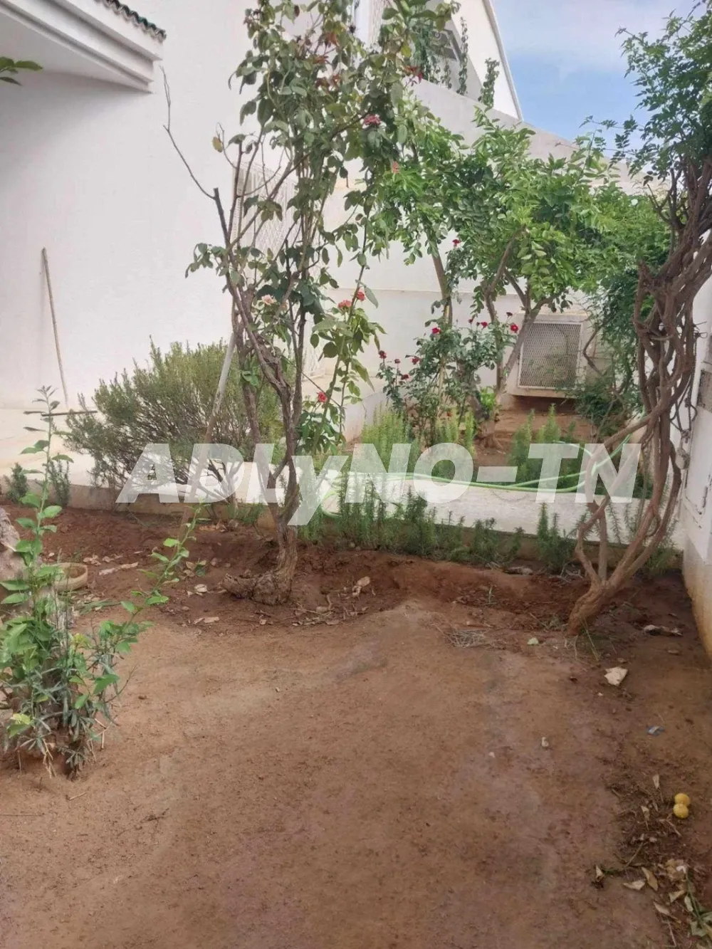maison 200m² à Ben Arous - Photo 1