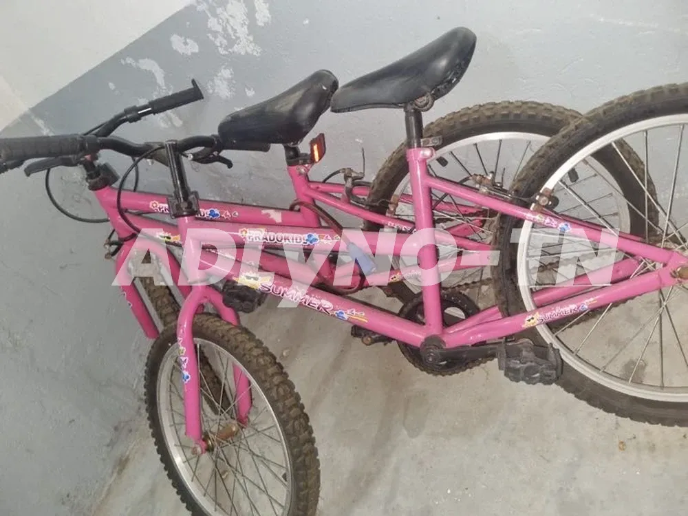Vélos à Tunis - Photo 4