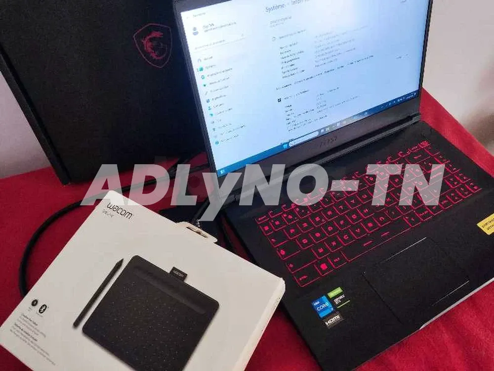  PC gamer presque neuf Ryzen 5 4600G 16Gb Ram 768Gb SSD 