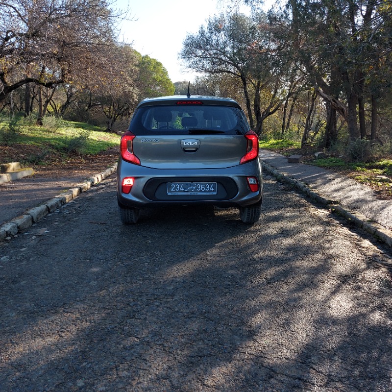 Kia PICANTO Essence 2023 à Tunis - Photo 3