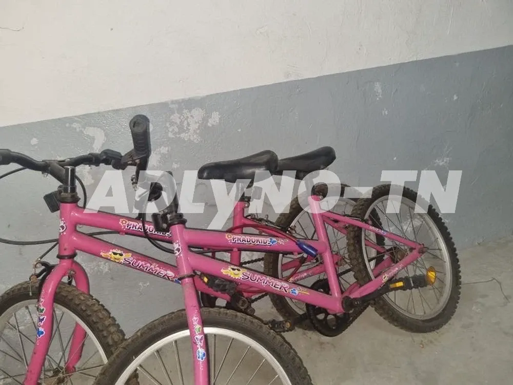 Vélos à Tunis - Photo 1