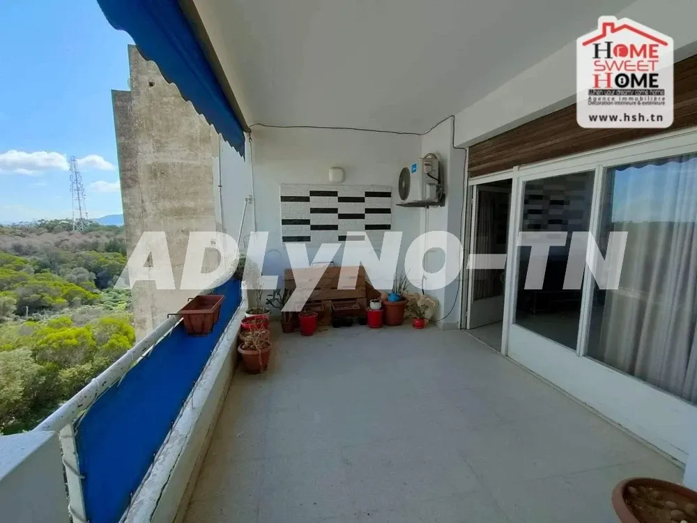  À VENDRE LOTS DE TERRAINS À FONDOUK DJEDID 