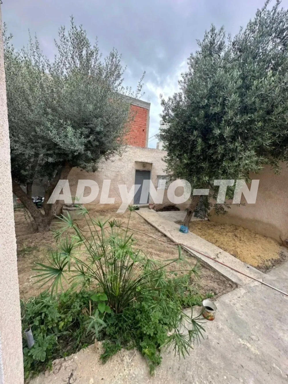 villa avec jardin s+3 dar Fadhal à Tunis - Photo 1