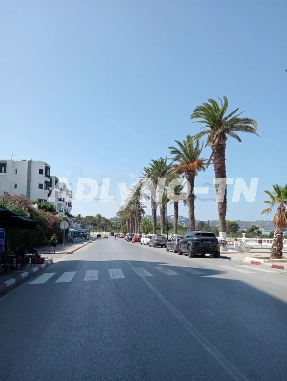 A vendre un magnéfique duplex à la Marsa Plage à Tunis - Photo 1