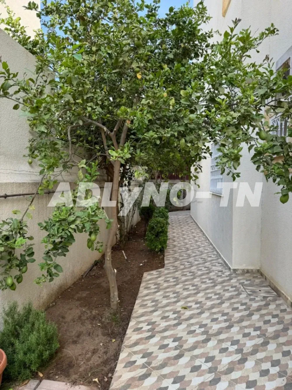 Villa Haut standing à Kélibia à Vendre à Nabeul - Photo 2