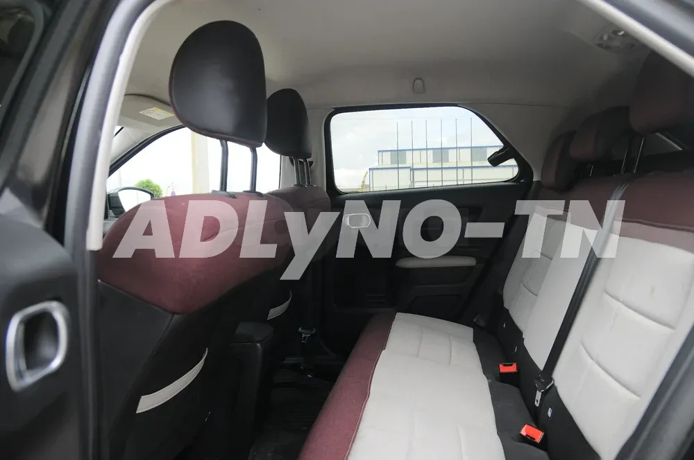 c4 cactus à Tunis - Photo 2