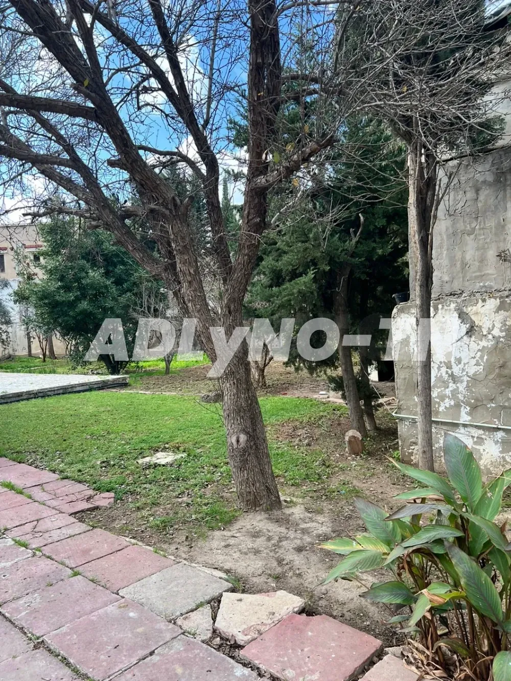 A vendre villa de 1250 m² au Borj Baccouche à Ariana - Photo 2