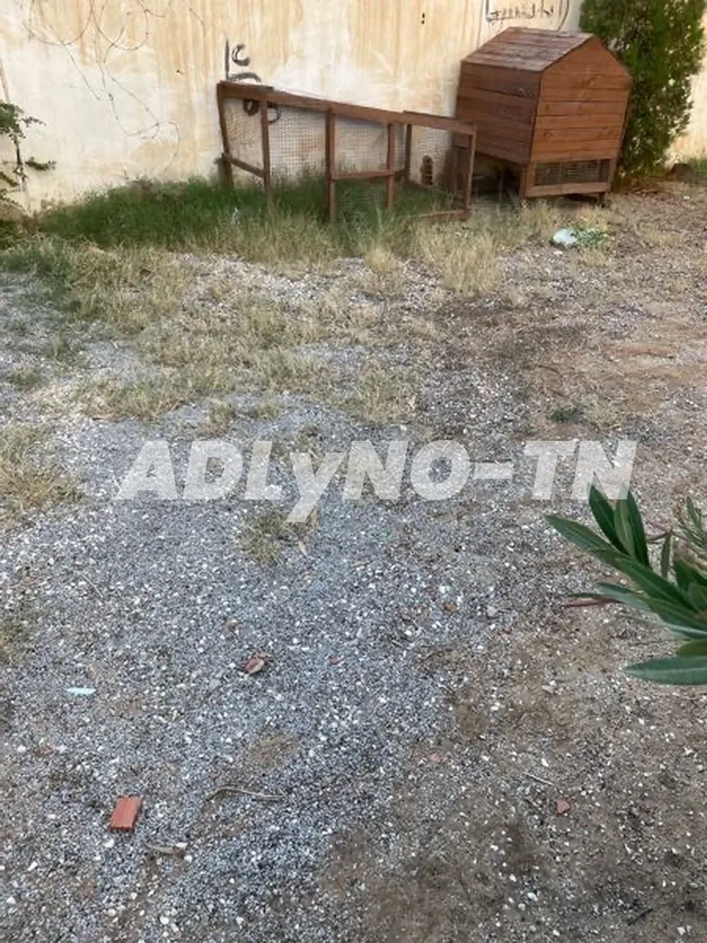vente poulailler à Ben Arous - Photo 1