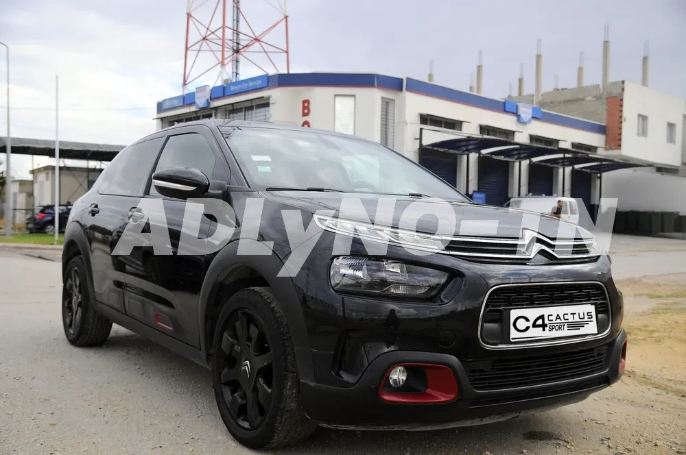 c4 cactus à Tunis - Photo 7