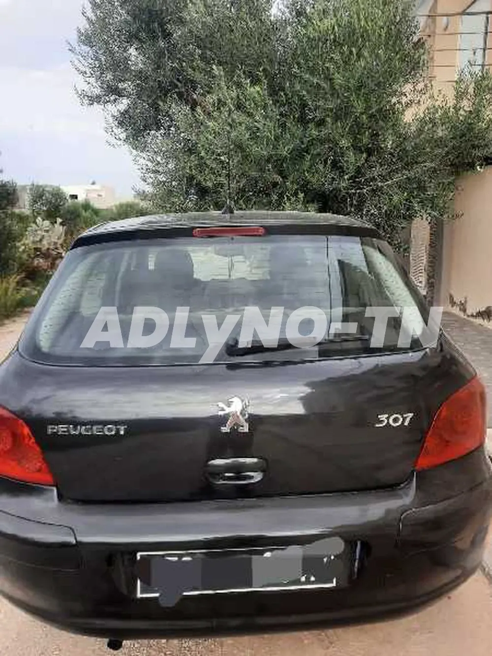 307 hdi phase 2 à Nabeul - Photo 1