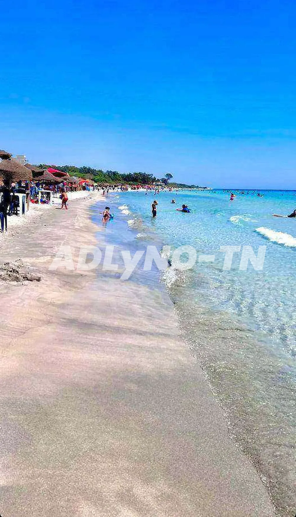  إعلان طلــب عروض عدد 02/2025 /بـيع عقــــــــار اللطيف 