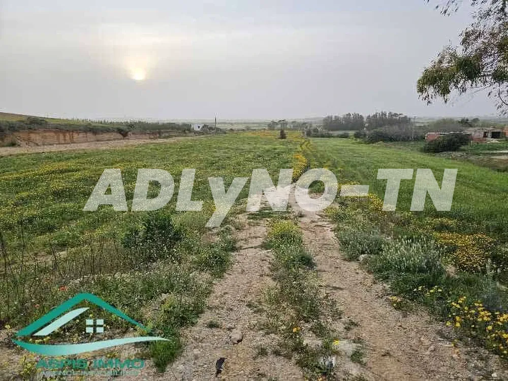 Terrain agricole 50 000 m² à chraf el hawaria à Nabeul - Photo 7