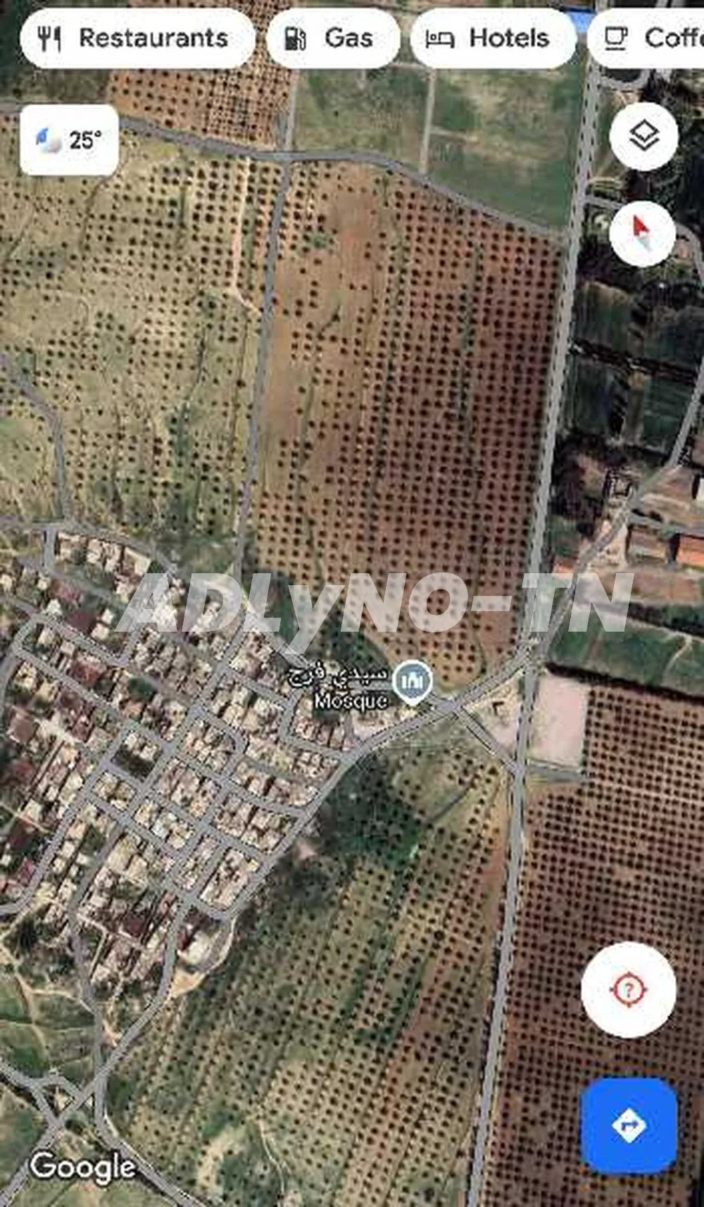 19 à Manouba - Photo 1