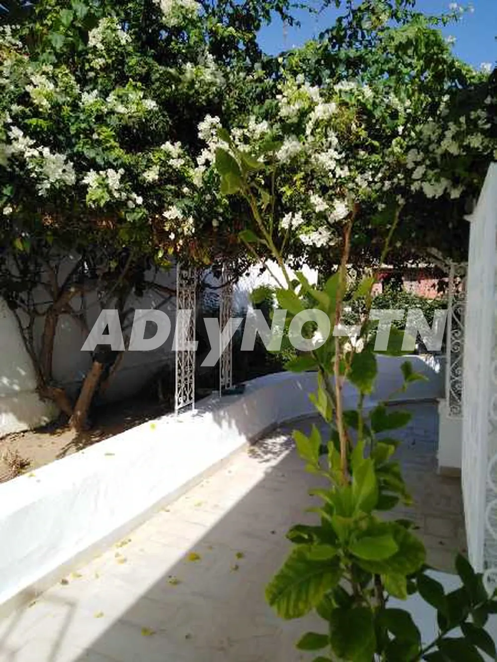 A louer une villa à gammarth supérieur à Tunis - Photo 2