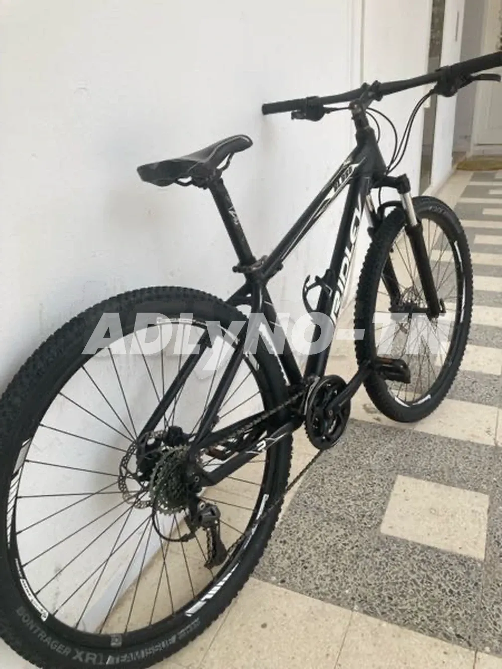 velo RIDLEY 29" à sousse - Photo 3