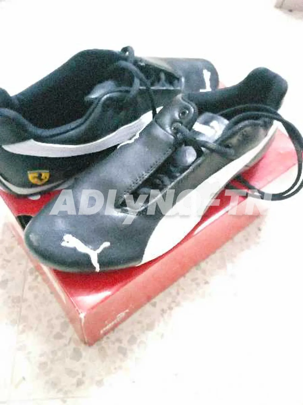 spadri puma à Ben Arous - Photo 1