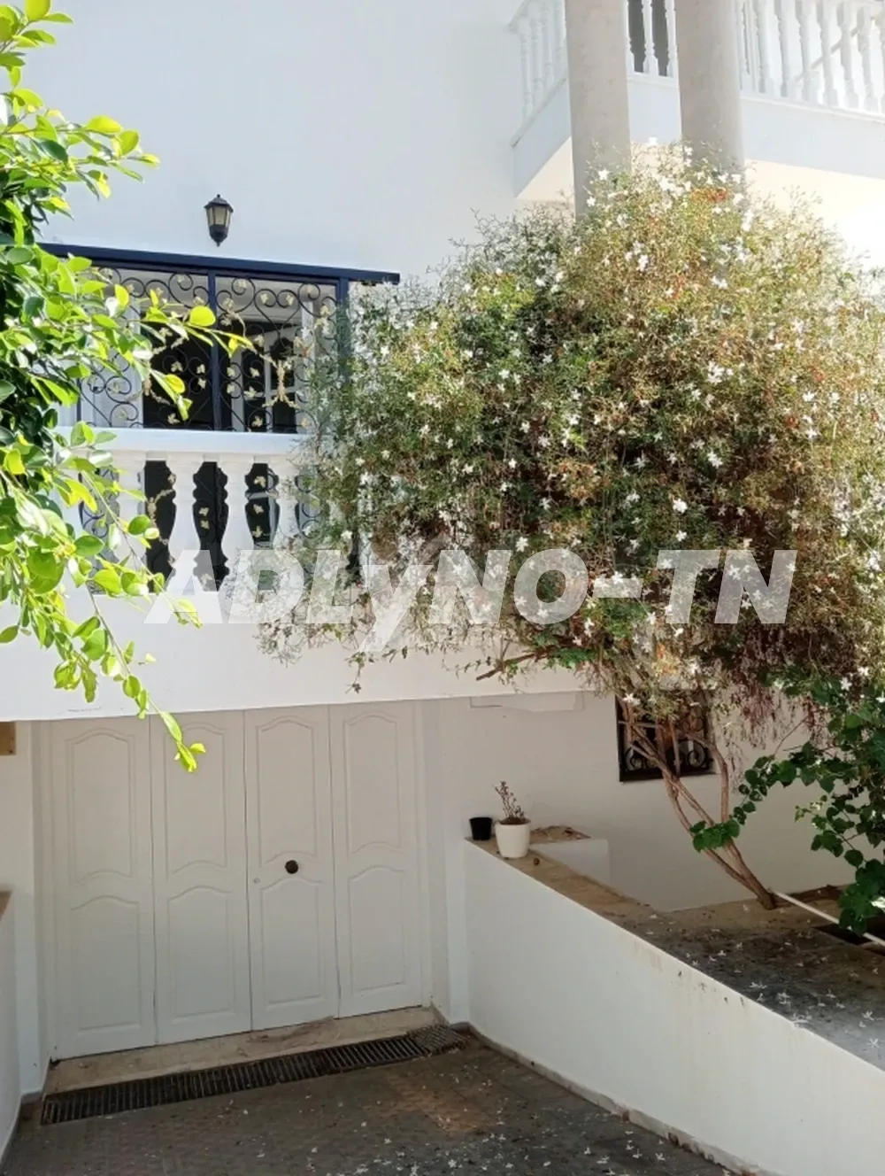 A louer une villa avec jardin à la Marsa à Tunis - Photo 2