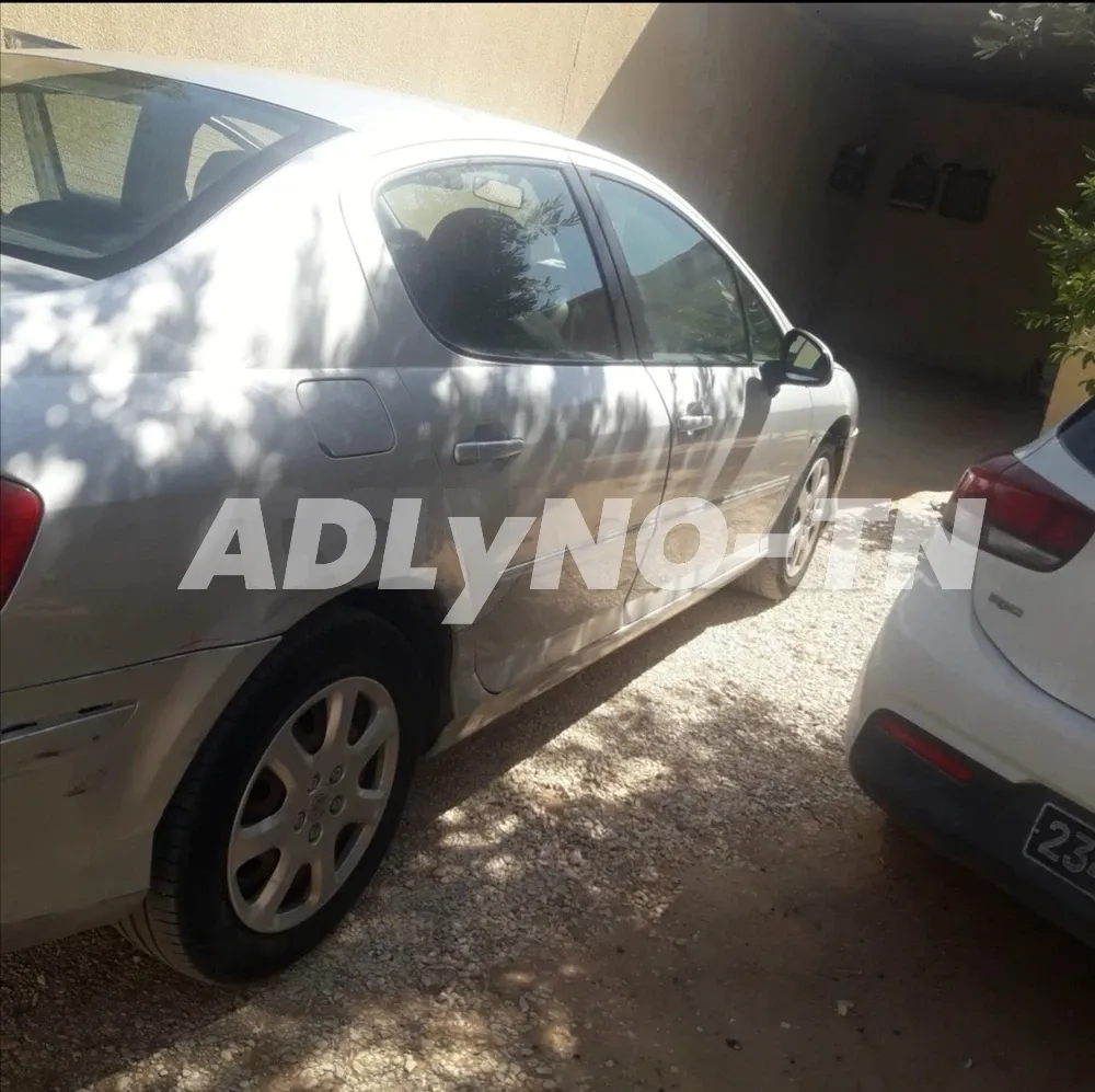 407 à Mahdia - Photo 2