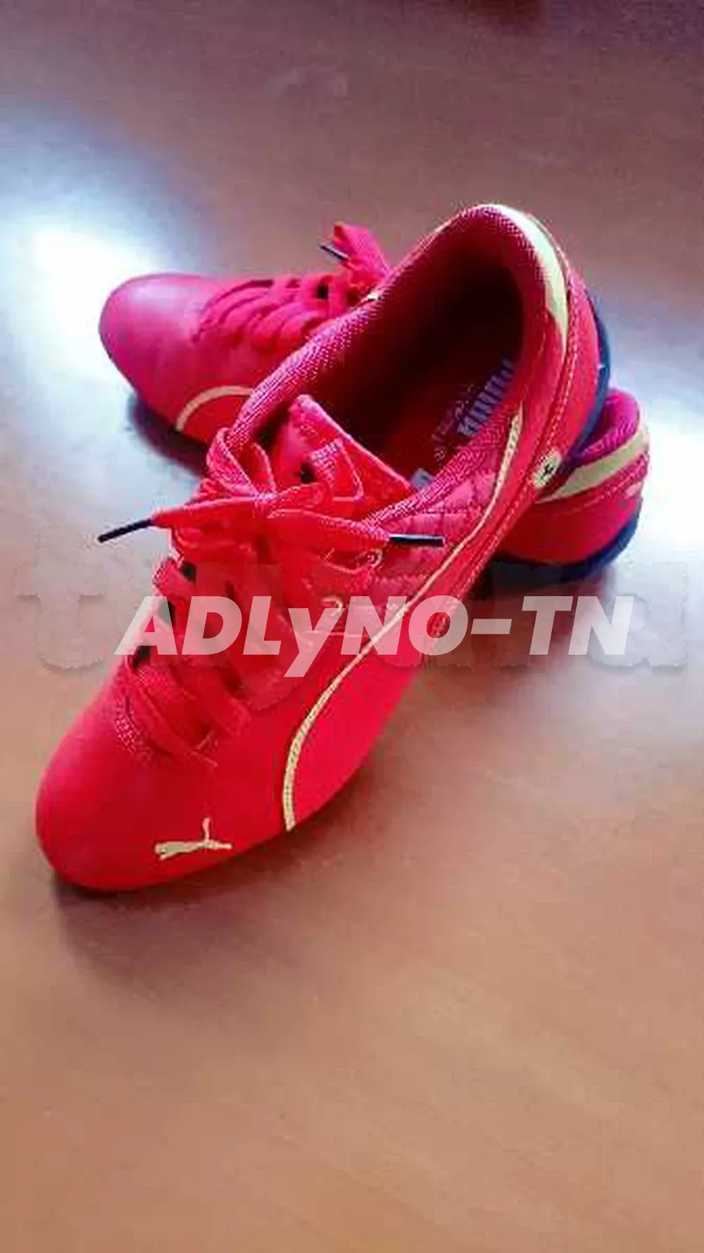 basket puma Ferrari?????? à Gafsa - Photo 2