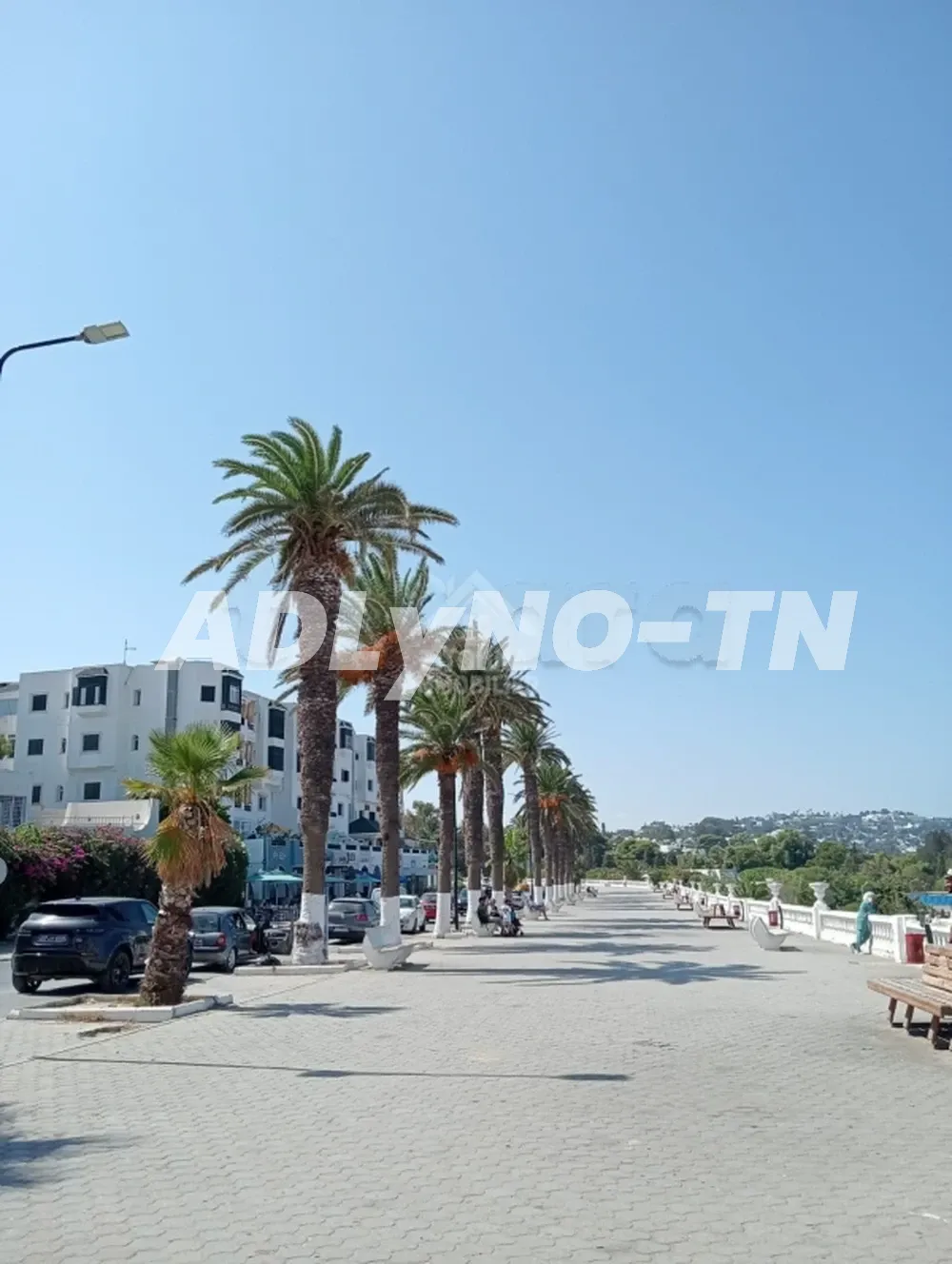 A vendre un magnéfique duplex à la Marsa Plage à Tunis - Photo 2