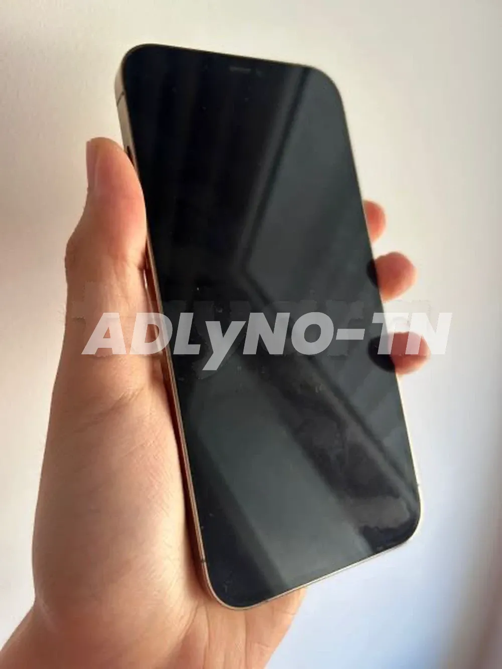 iPhone 12 Pro Max 128G Gold état parfaite importé aucun défaut tt en marche avec son câble et facture garantie boutique Batt 85% prix 1750dt tel 20172643 à Tunis - Photo 4