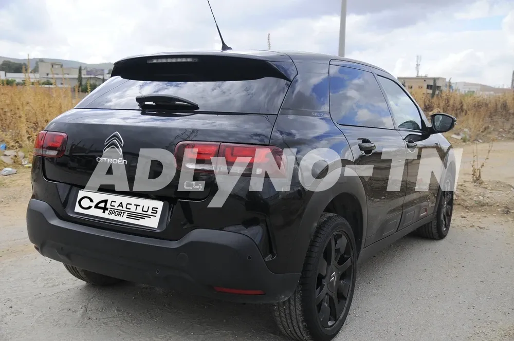 c4 cactus à Tunis - Photo 6